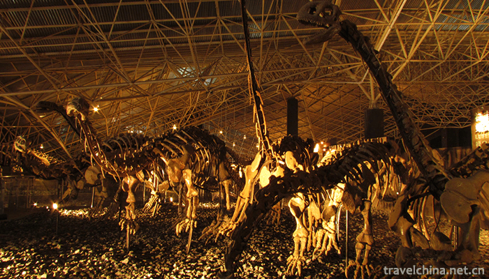 World-Dinosaur-Valley-9