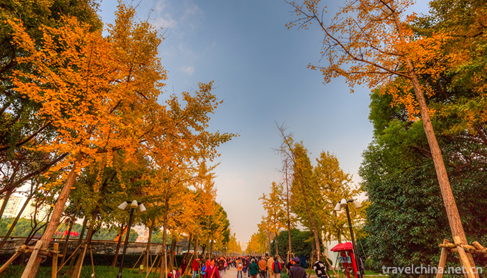 Shanghai-Century-Park-10