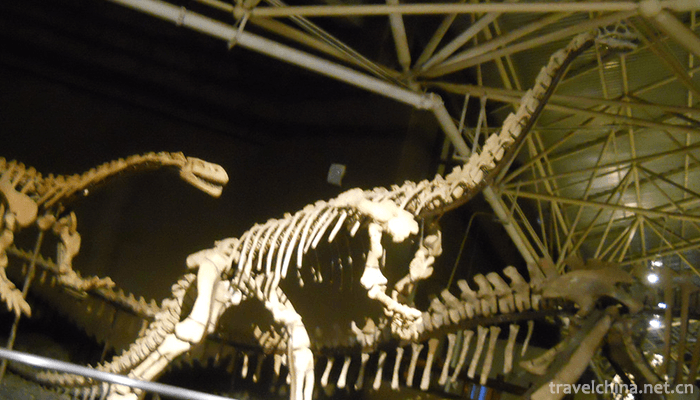 World-Dinosaur-Valley-4