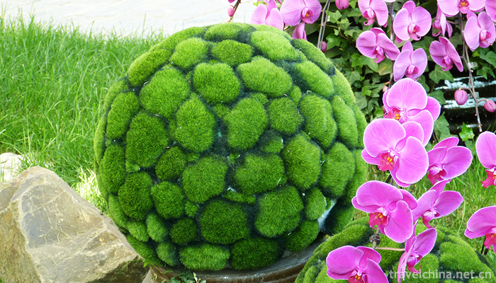 Shanghai-Flower-Port-1
