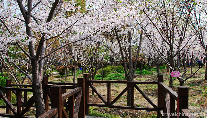 Gucun-Park-Shanghai-8