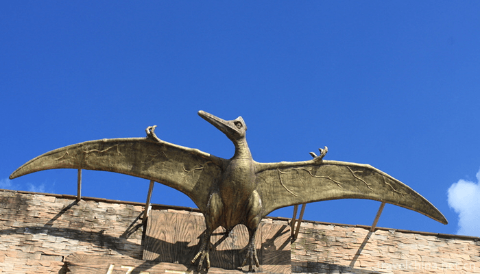 World-Dinosaur-Valley-7