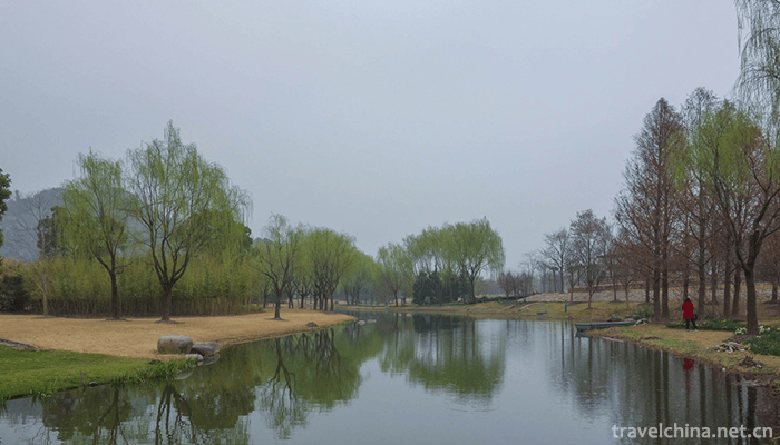 Shanghai-Chen-Shan-Botanical-Garden-1