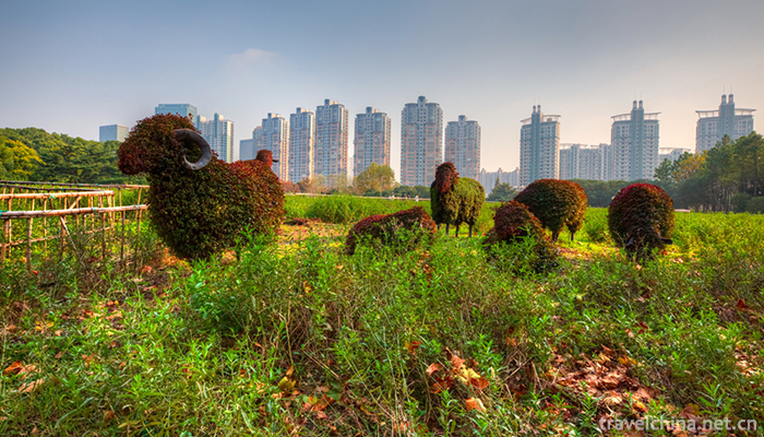 Shanghai-Century-Park-6