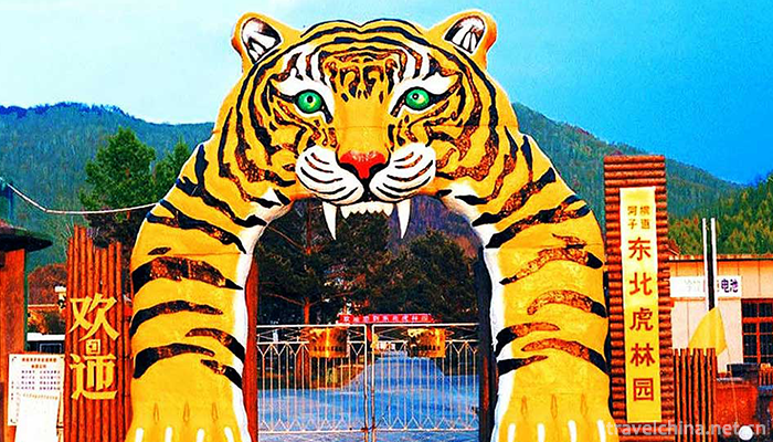 The-Siberian-Tiger-Park-9
