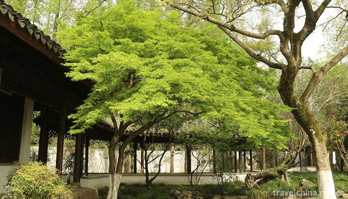 The-Grand-View-Garden-Area-of-Shanghai--7