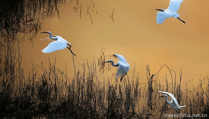 Dongping-Lake-Scenic-Spot-2