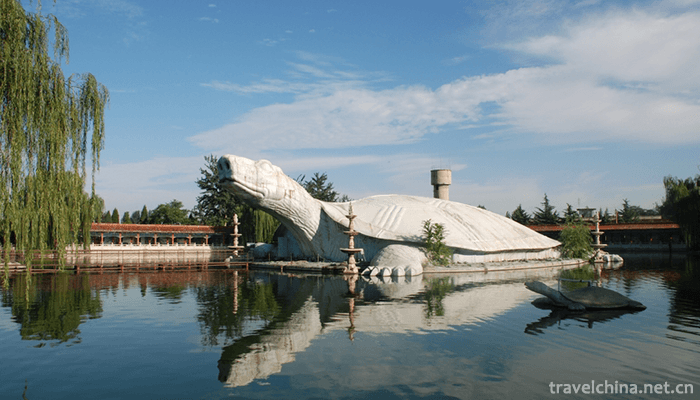Oriental-Giant-Turtle-Garden-1