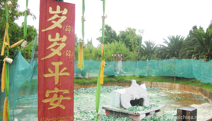 Dongba-Valley-Scenic-Area-12
