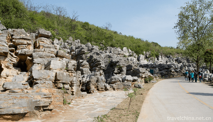 Yashan-Huahai-Stone-Forest-4