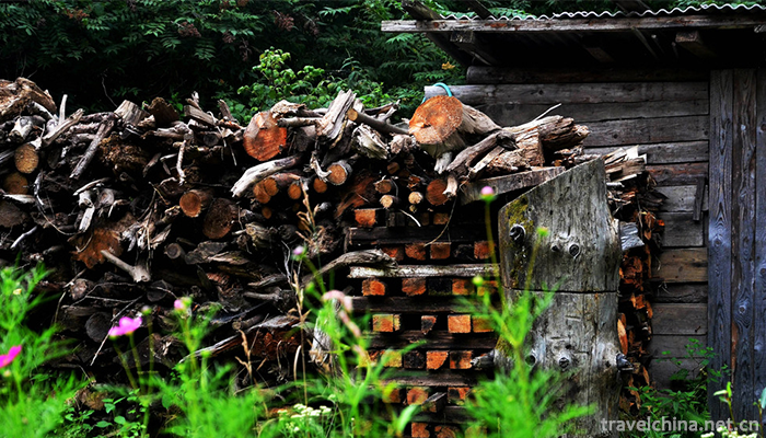 Wuying-National-Forest-Park-6