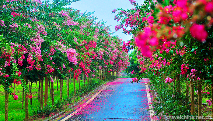 Wuhan-Botanical-Garden-Chinese-Academy-of-Sciences-14