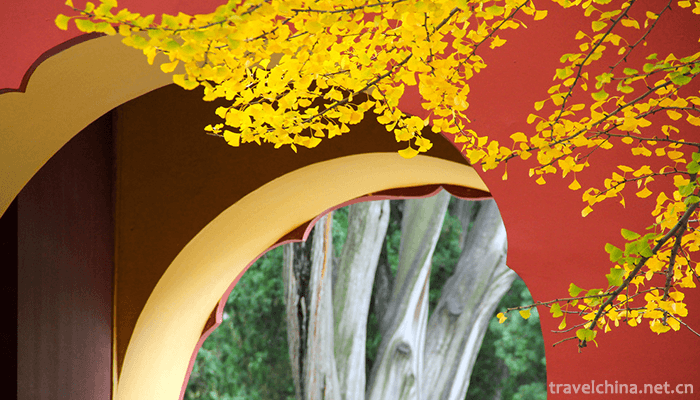 Zhongshan-Park-12