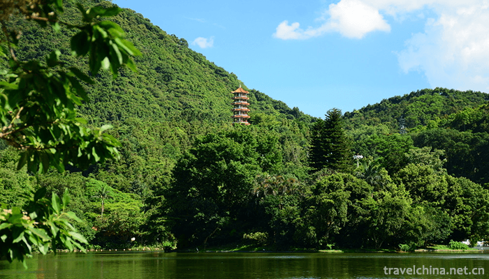 Fairy-Lake-Botanical-Garden-2