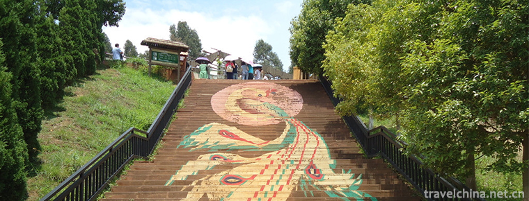 Yunnan Wildlife Park 