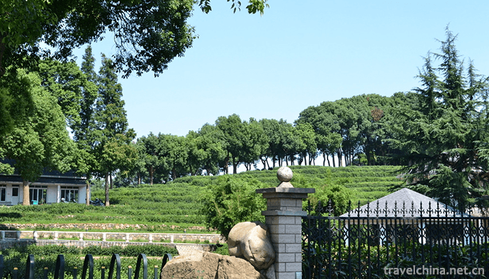 Sheshan-State-Forest-Park-1