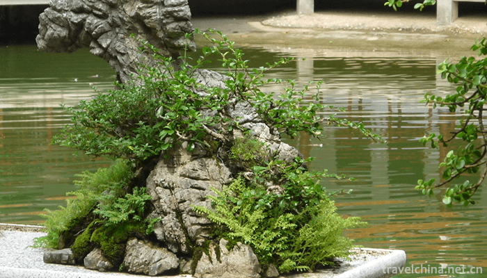 Fairy-Lake-Botanical-Garden-6