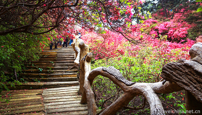 Yunwushan-Scenic-Area-5