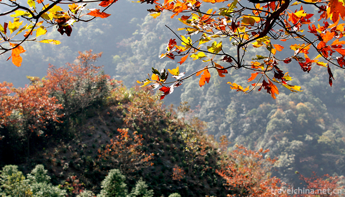 Yunwushan-Scenic-Area-14