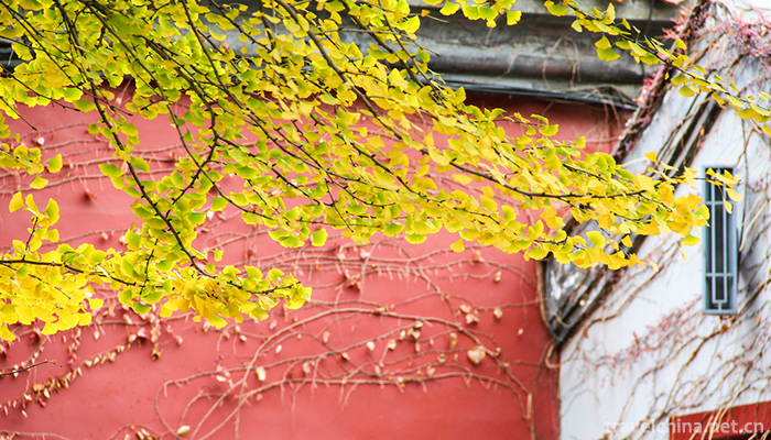 Zhongshan-Park-11