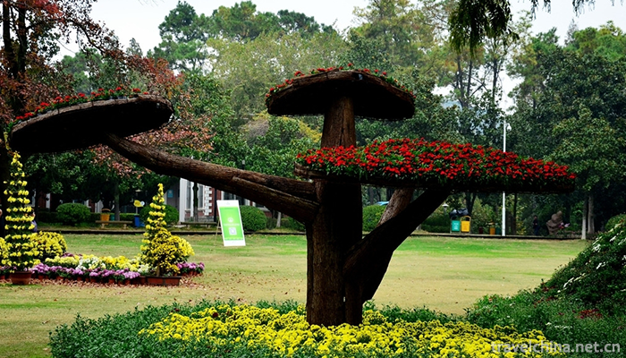 Wuhan-Botanical-Garden-Chinese-Academy-of-Sciences-10