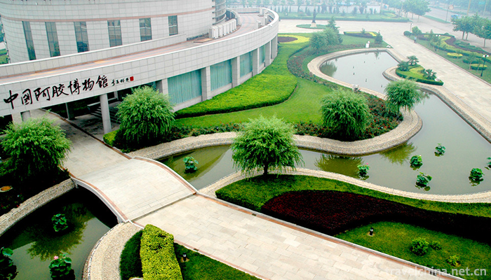 China-Ejiao-Museum-2