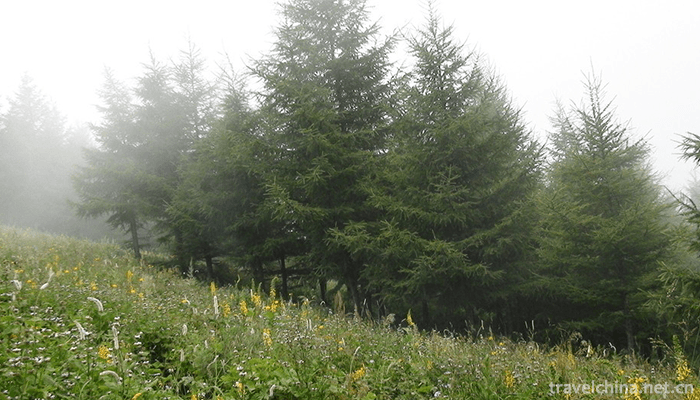 Wuyuezhai-Scenic-Area-3
