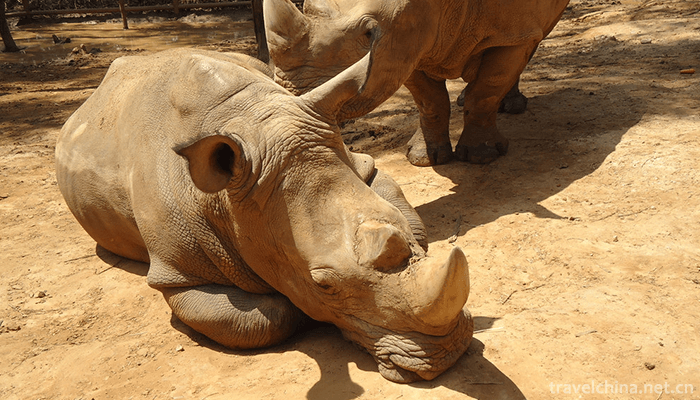 Yunnan-Wildlife-Park-2