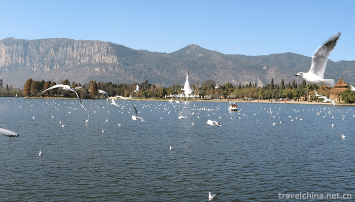 Yunnan-Wildlife-Park-11