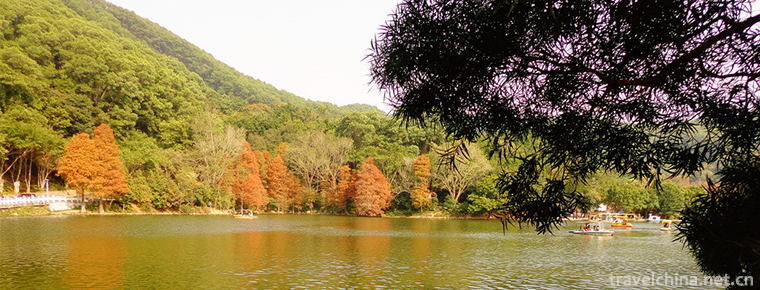 Fairy Lake Xianhu Botanical Garden