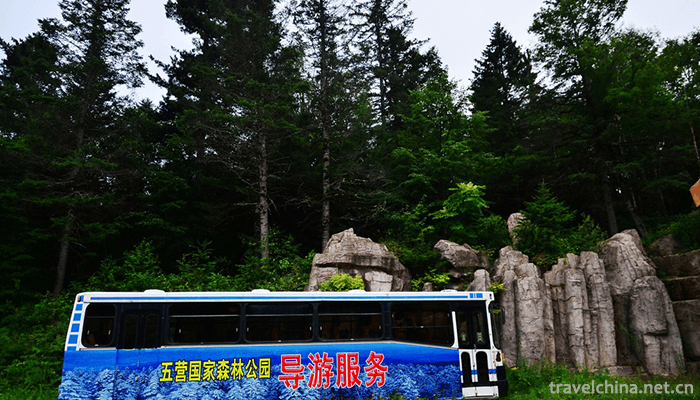Wuying-National-Forest-Park-1