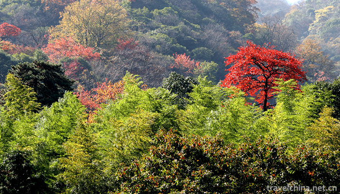 Yunwushan-Scenic-Area-13