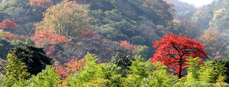 Yunwushan Scenic Area 