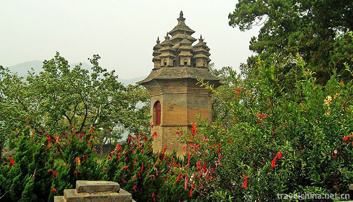 Nine-Towers-Chinese-Folk-Happy-Garden-1