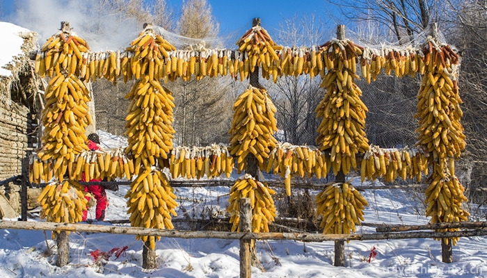 Yabuli-Ski-Resort-6