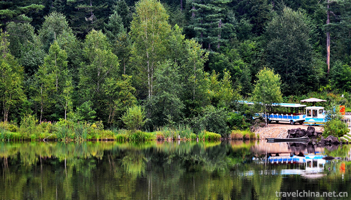 Wuying-National-Forest-Park-3