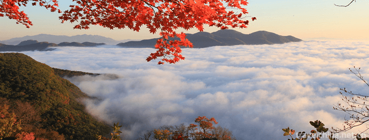 wunv mountain city 