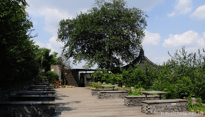 Sheshan-State-Forest-Park-6