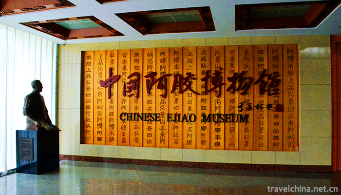 China-Ejiao-Museum-3