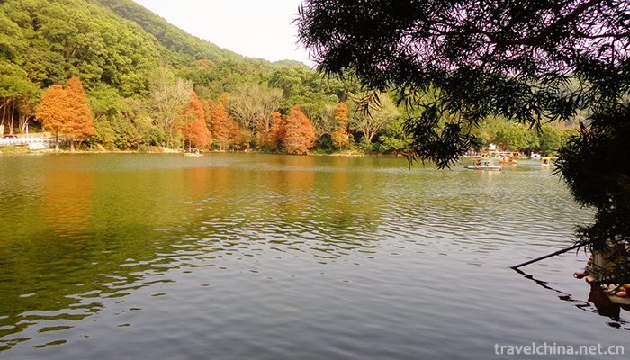 Fairy-Lake-Botanical-Garden-10