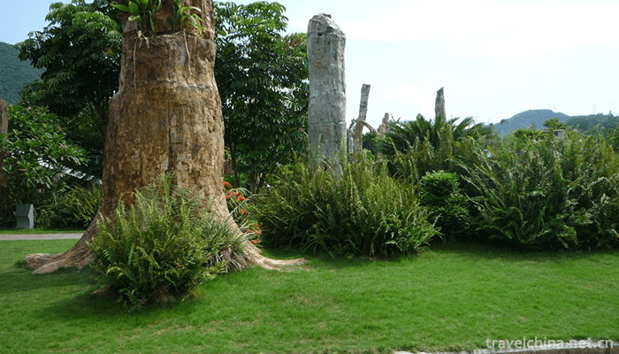 Fairy-Lake-Botanical-Garden-5