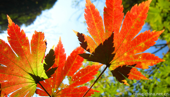Guanmenshan-National-Forest-Park-5