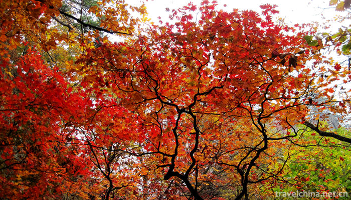 Guanmenshan-National-Forest-Park-12
