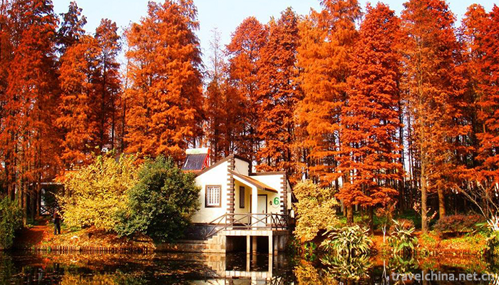 GongQing-Forest-Park-8