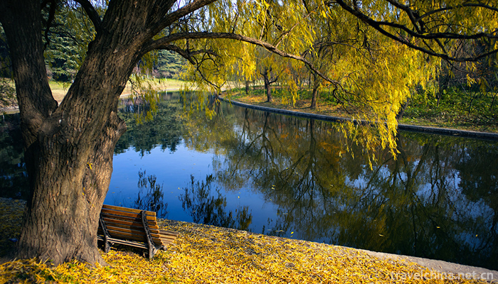 GongQing-Forest-Park-6