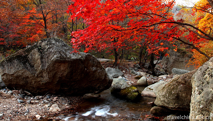 Guanmenshan-National-Forest-Park-3