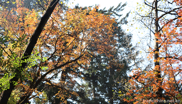 Xinglong-mountain-6