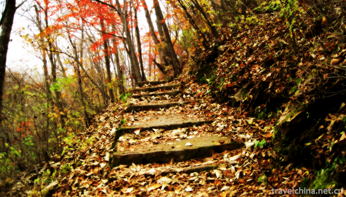 Guanmenshan-National-Forest-Park-13