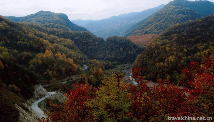 Liupanshan-National-Forest-Park-6