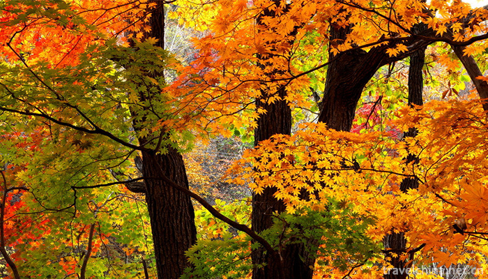 Guanmenshan-National-Forest-Park-4